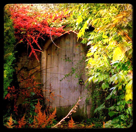 Picture for a Secret Place