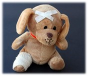 Teddy