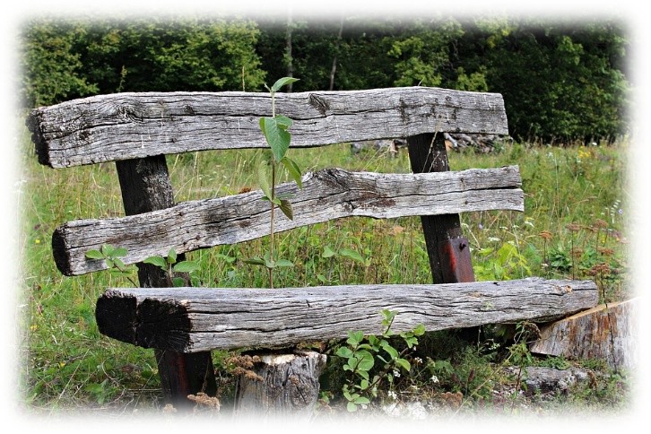 Bench seat