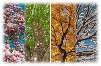 Seasons picture